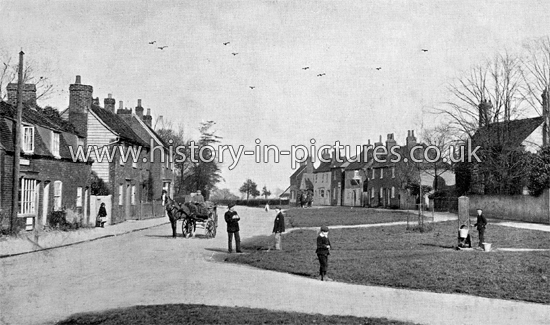 The Village, Stock, Essex. c.1903